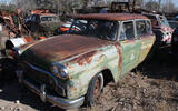 Checker Superba
