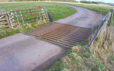 Texas Gate Texas Gate