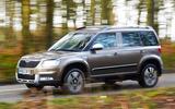 Yeti 2013g