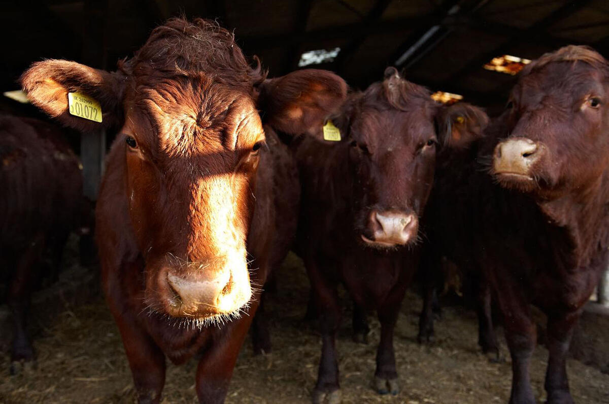 Best of the April Fools