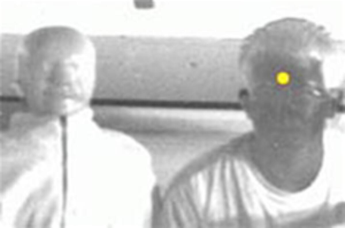 Blood-sensing cameras to foil car-share 