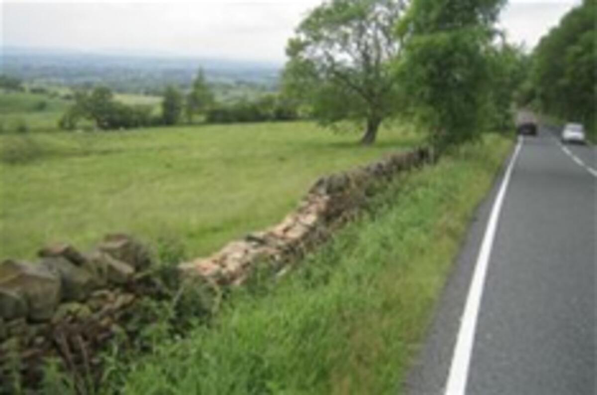 Make it a safe drive in the country