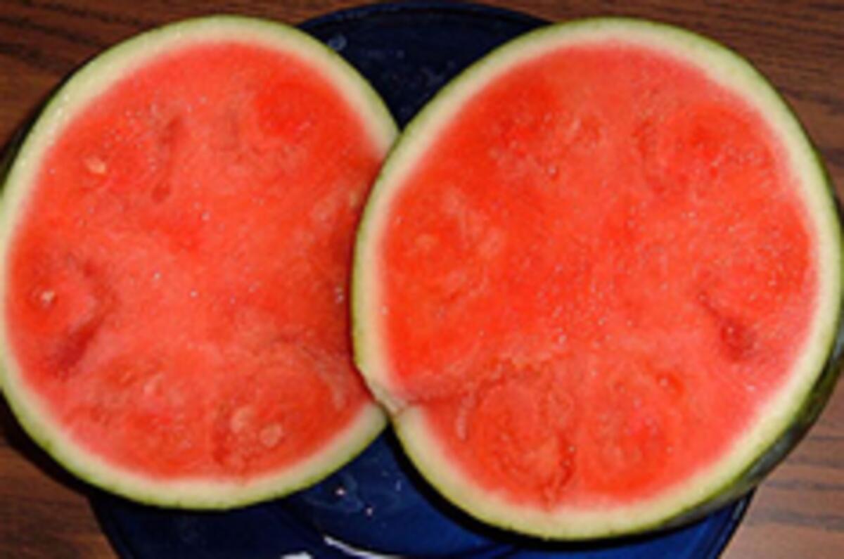 Watermelon powered cars