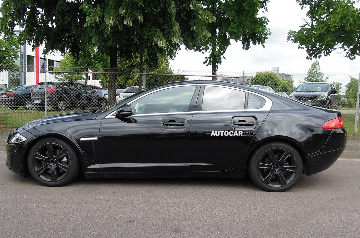 no title Baby Jaguar 18 months away