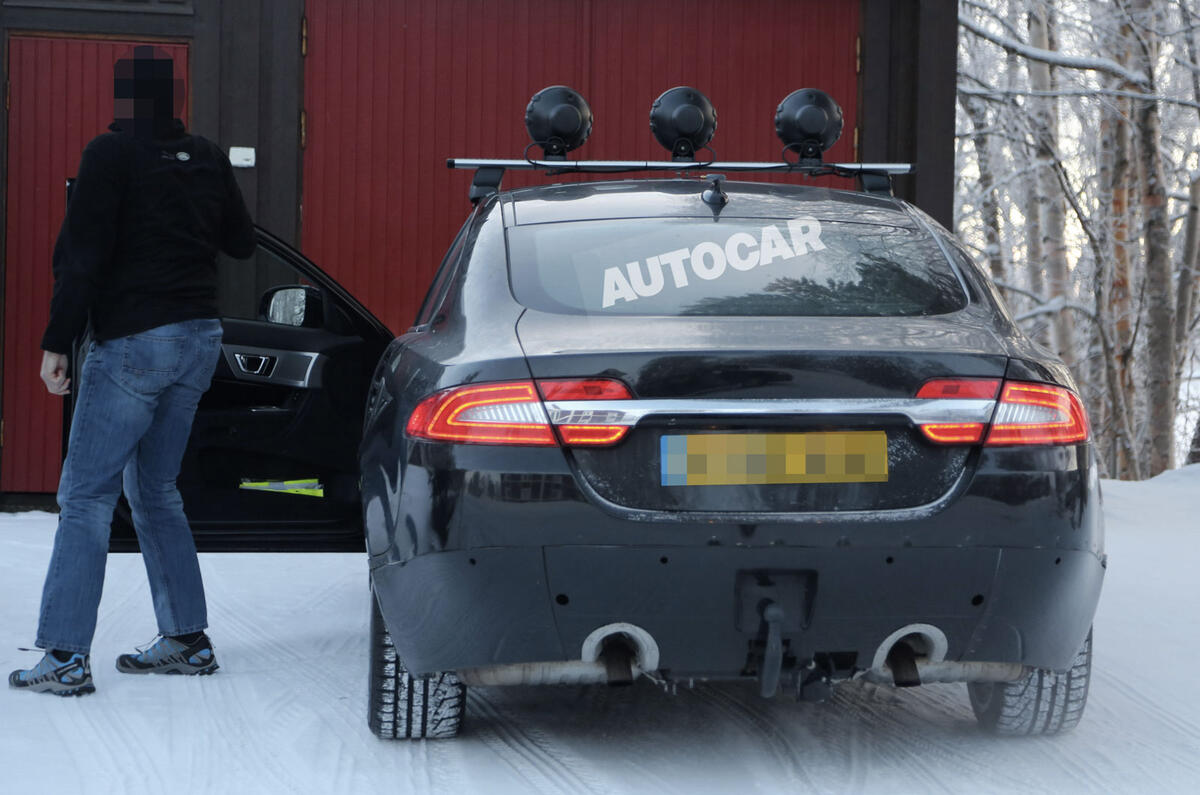 no title Baby Jaguar spotted - latest pictures
