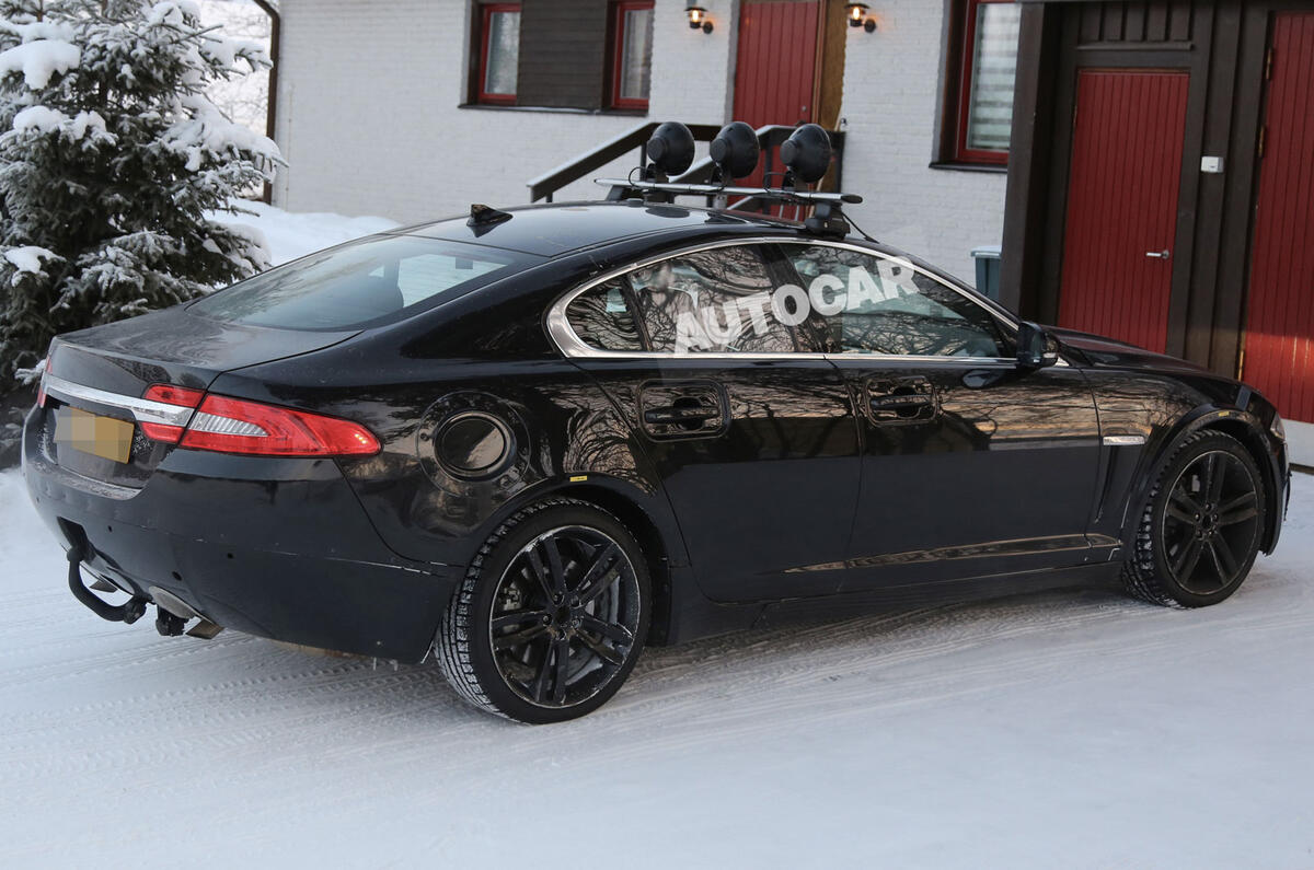 no title Baby Jaguar spotted - latest pictures