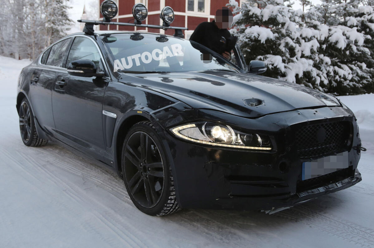 no title Baby Jaguar spotted - latest pictures