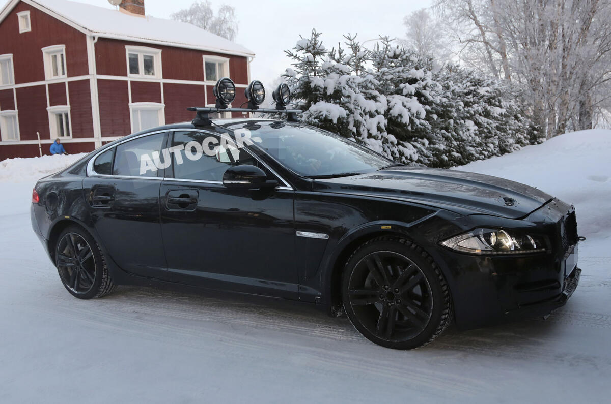 no title Baby Jaguar spotted - latest pictures
