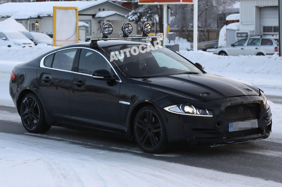no title Baby Jaguar spotted - latest pictures