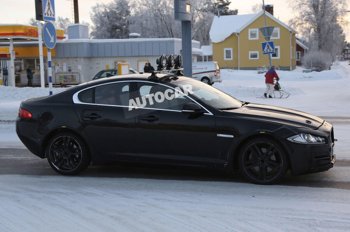 no title Baby Jaguar spotted - latest pictures