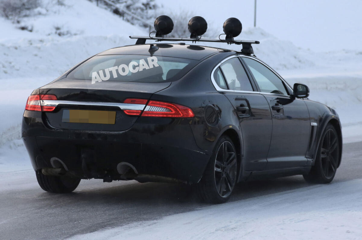 no title Baby Jaguar spotted - latest pictures