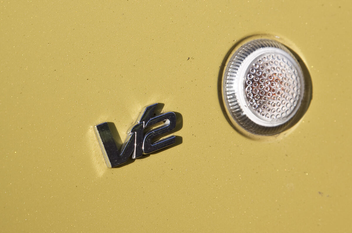 Aston Martin V12 badging