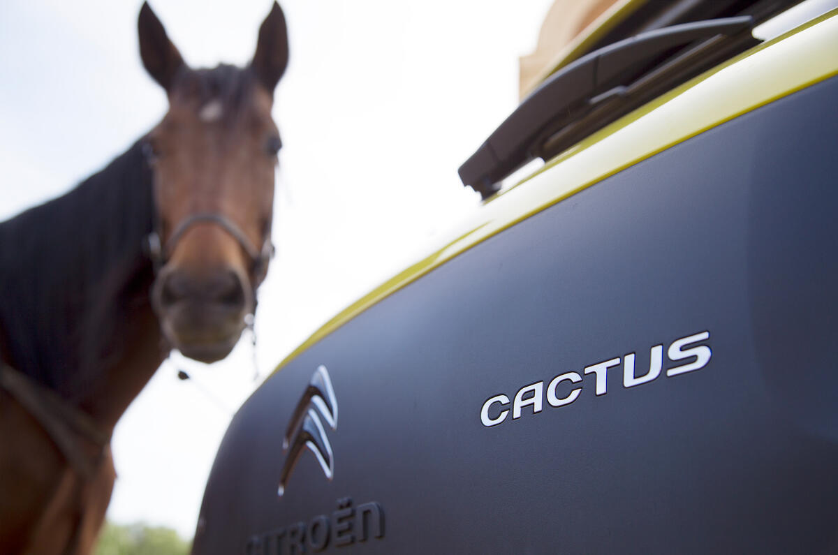 Citroen C4 Cactus vs the desert - picture special 