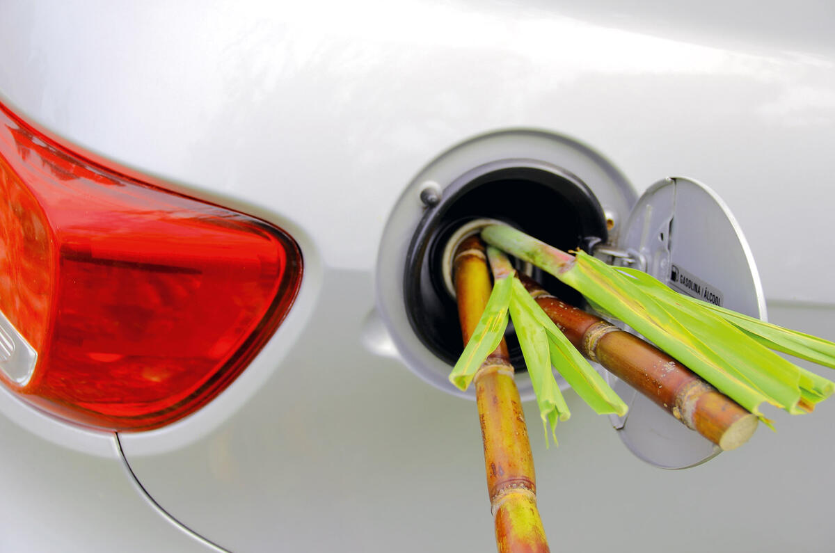 Bamboo shoots in car
