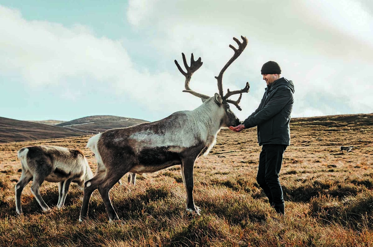 10 Christmas Road Trip Scotland Dakar