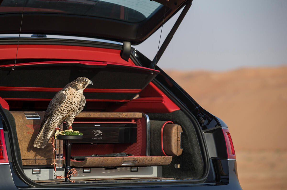 Mulliner falconry