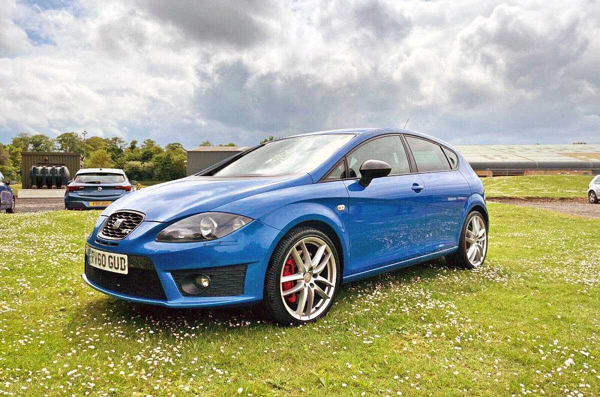 17 CupraLeon 17 CupraLeon