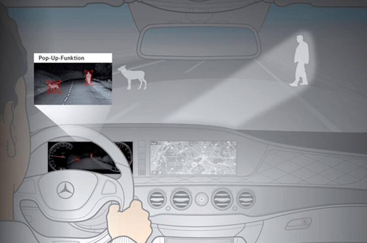 Deer collisions feature pics  Deer collisions feature pics