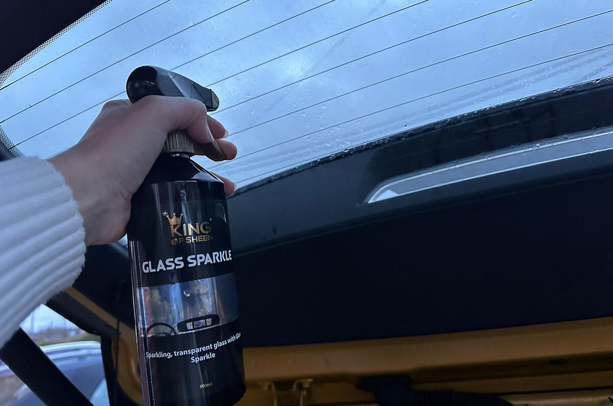 2 KING OF SHEEN IMG 2188 (2)