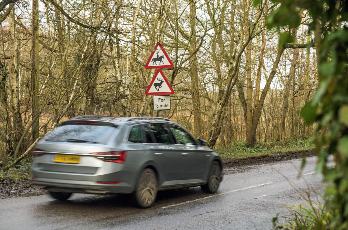 Deer collisions feature pics 