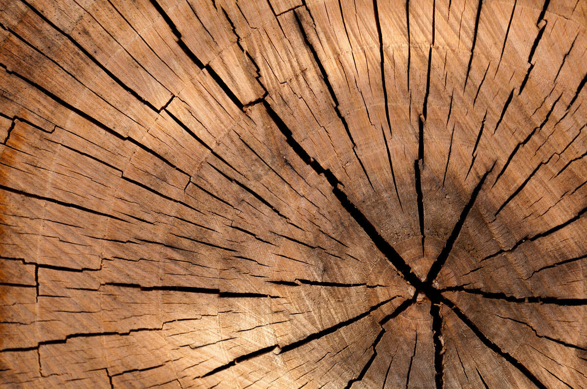 2 pexels public domain pictures 40973