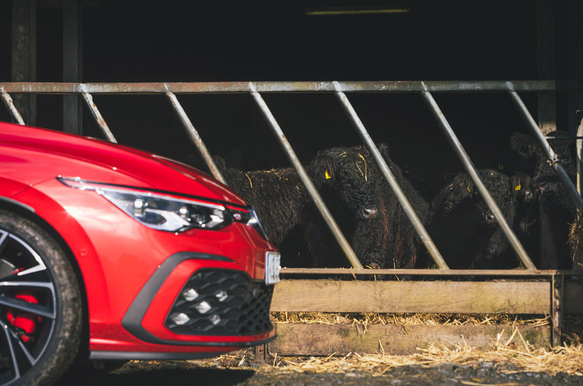 Volkswagen Golf GTI - front