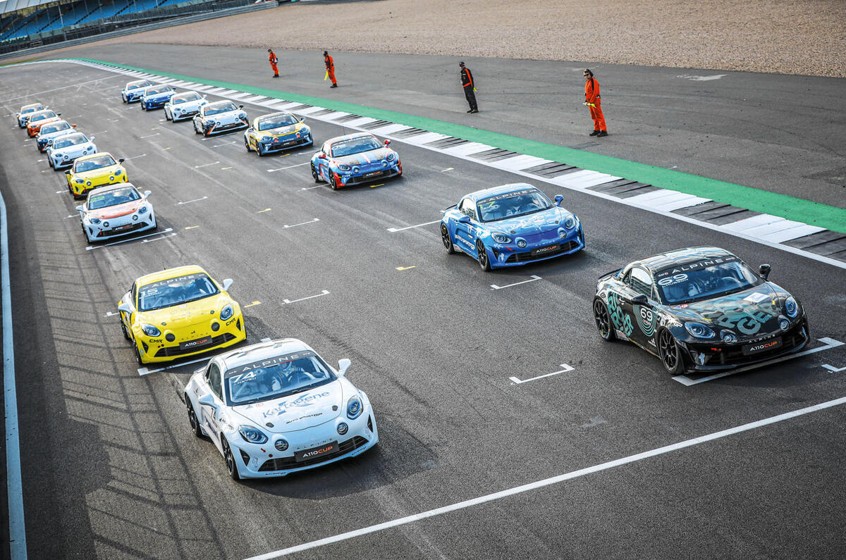 Alpines lined up  Alpines lined up