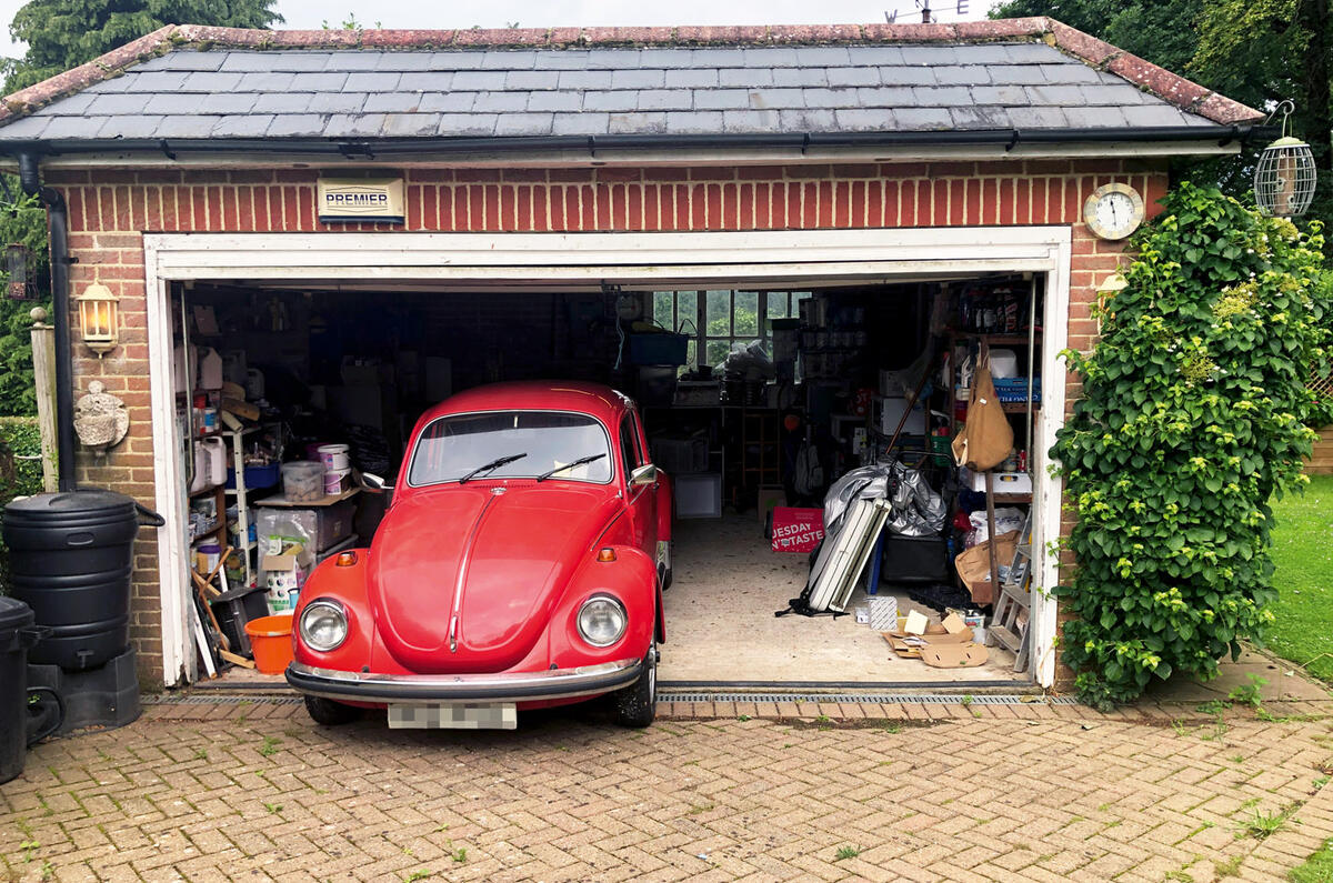 78 2021 staff highlights Felix Page Beetle