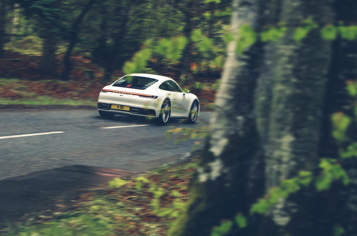 84 A911 on the A911 feature trees rear 84 A911 on the A911 feature trees rear