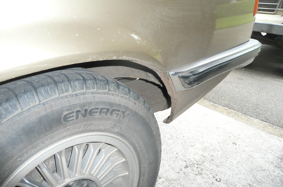 8 P1060355 8 P1060355