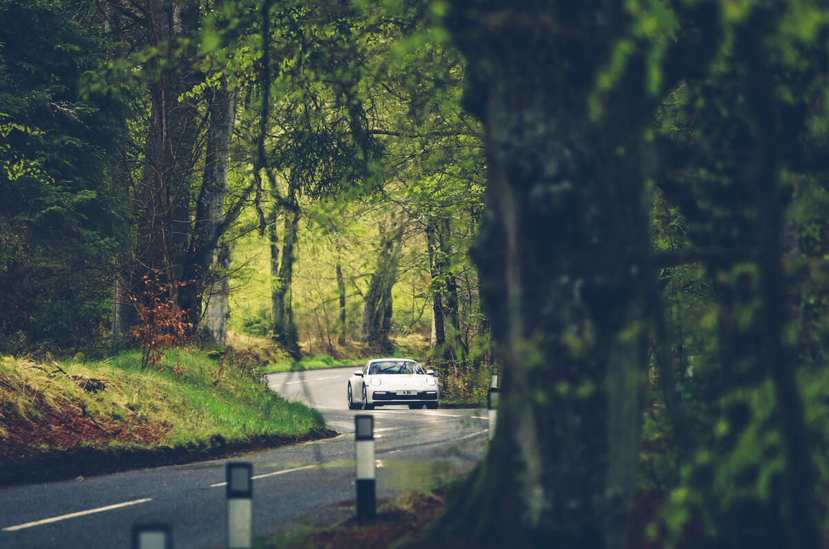 90 A911 on the A911 feature trees 90 A911 on the A911 feature trees