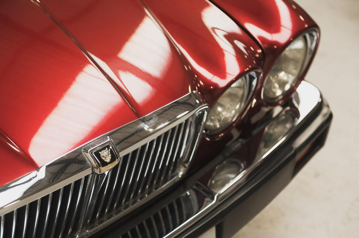 93 The Market auctioneer visit 2022 Jaguar nose 93 The Market auctioneer visit 2022 Jaguar nose