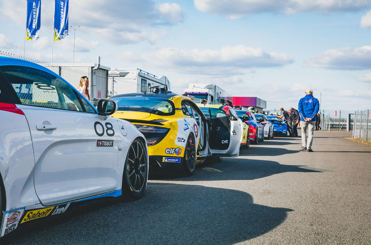 Alpines lined up alternative view Alpines lined up alternative view