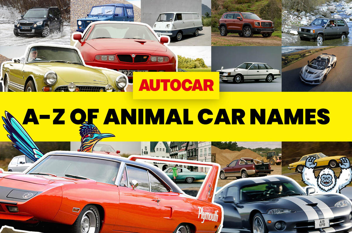 a z animal car names