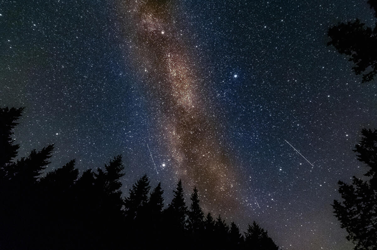 Enjoy a unique view of the night sky at the stylish timber-clad Kielder Observatory.