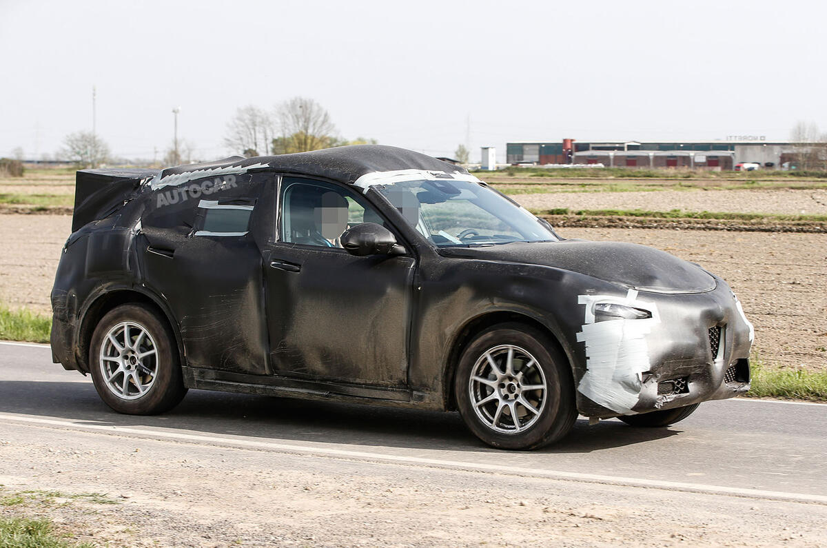 Alfa Romeo Stelvio mule
