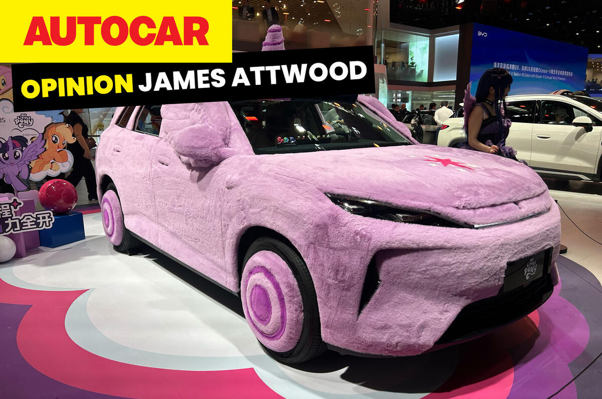 Beijing opinion 2026