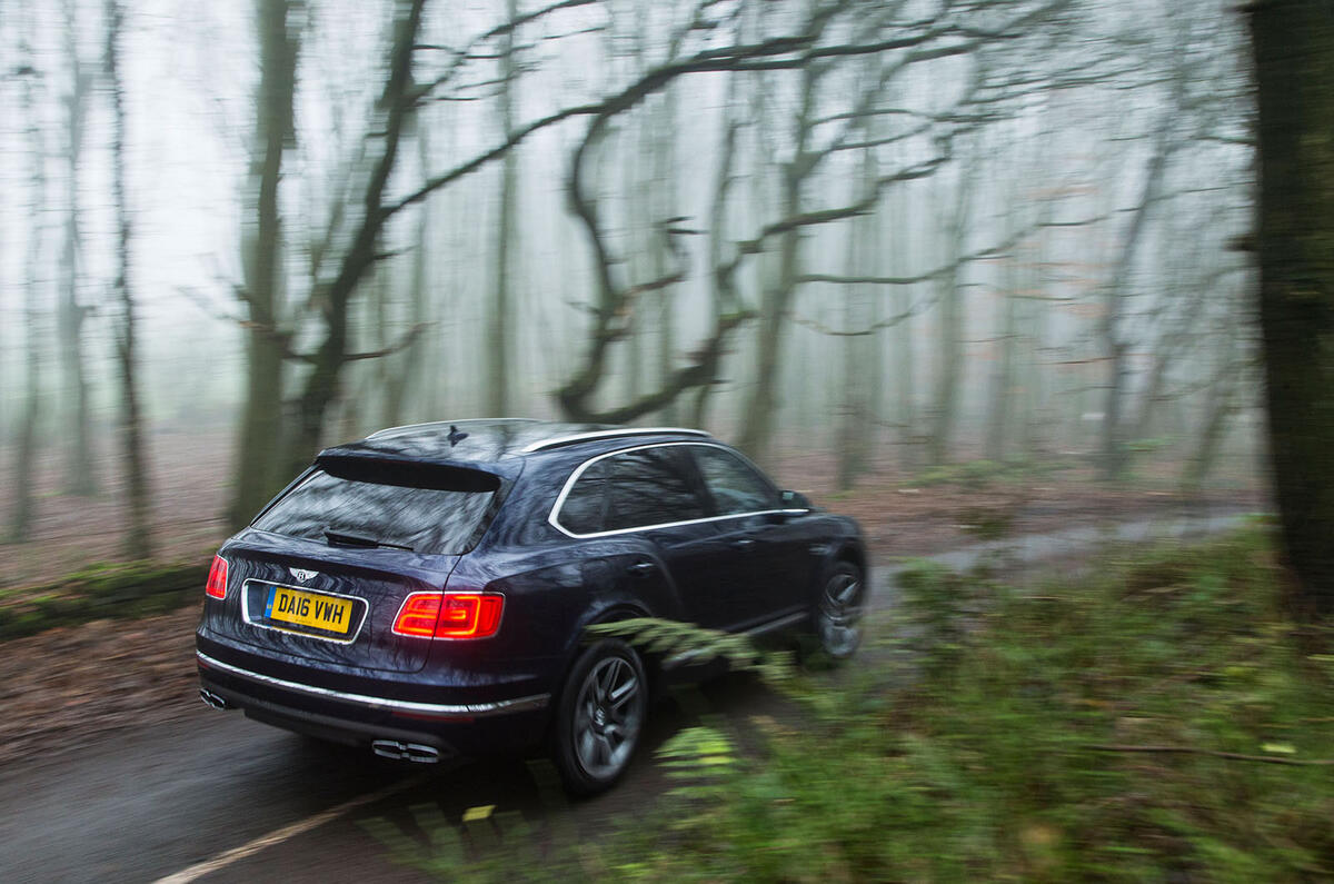 Bentley Bentayga Diesel in forest