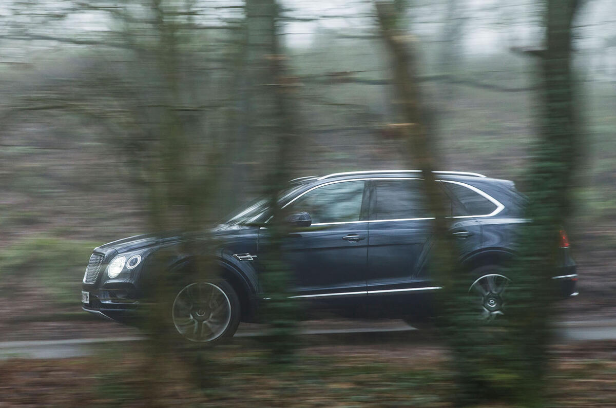 Bentley Bentayga Diesel side profile covered by trees