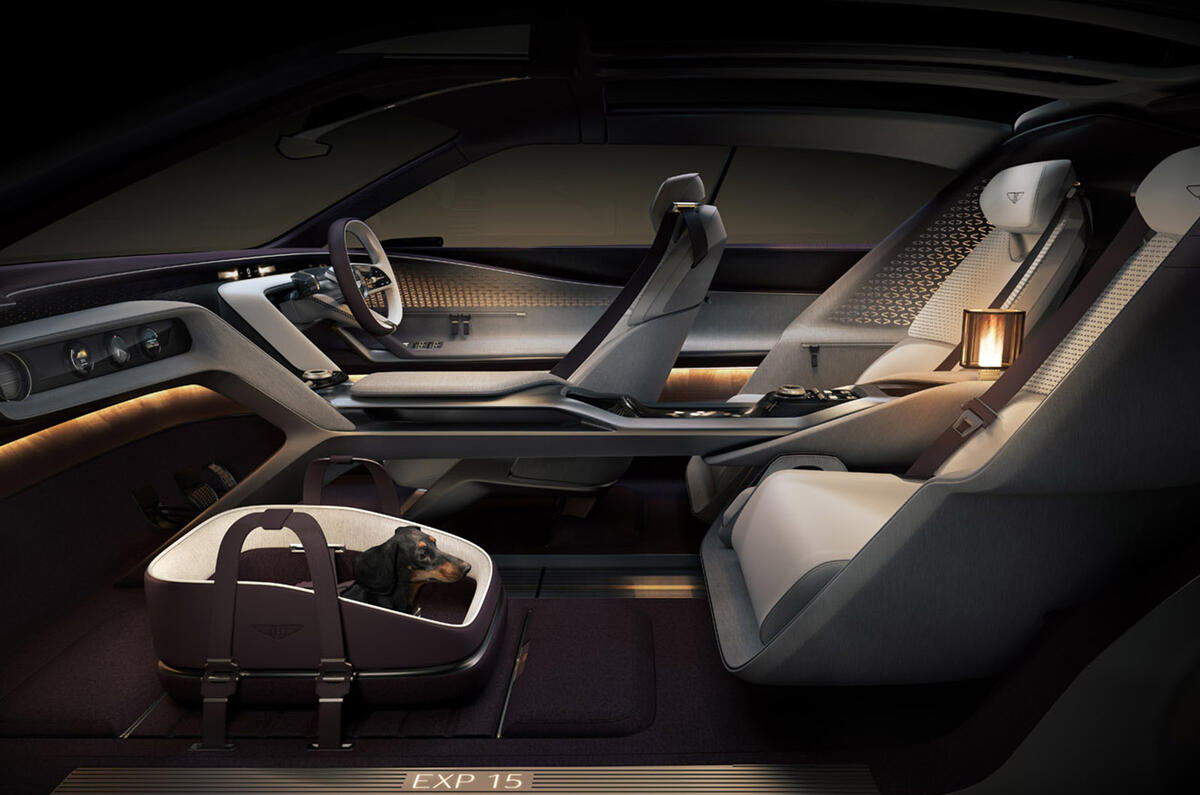 Bentley EXP 15 interior with dog carrier Bentley EXP 15 interior with dog carrier
