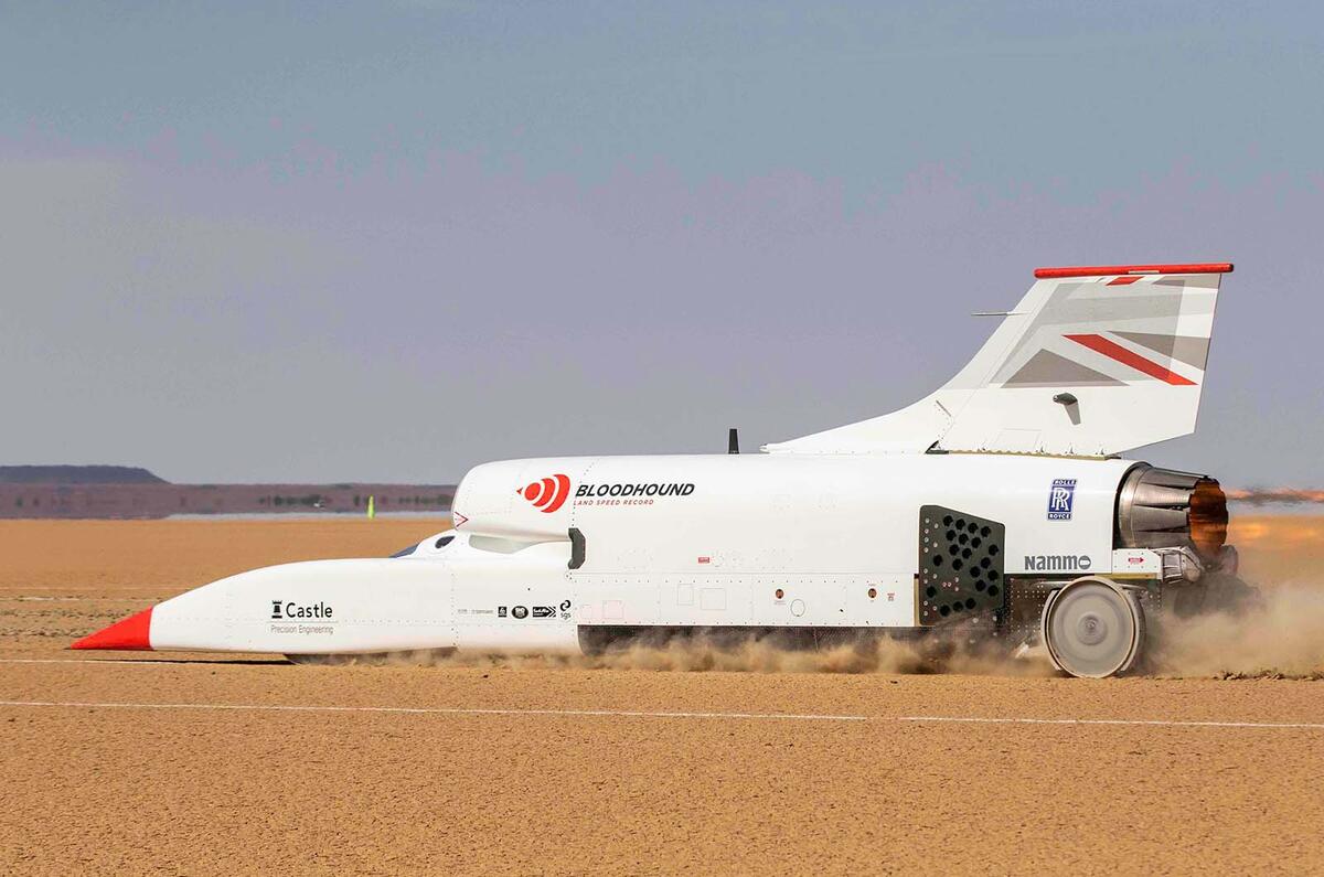 Bloodhound