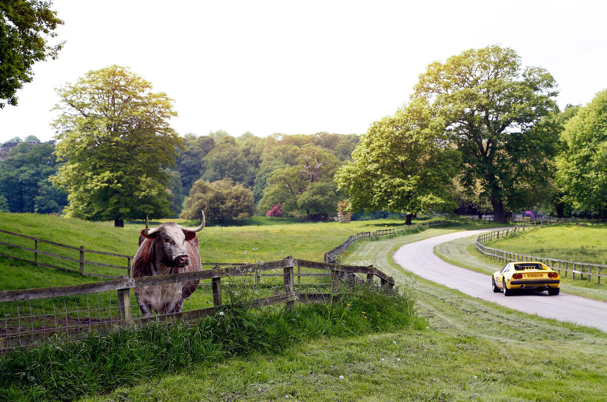 Ferrari 308 GTB rally car