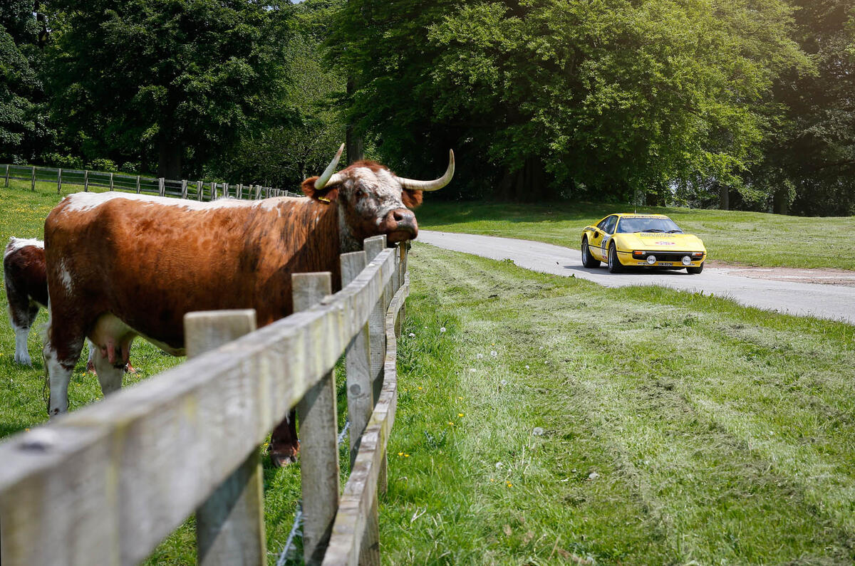 Ferrari 308 GTB rally car