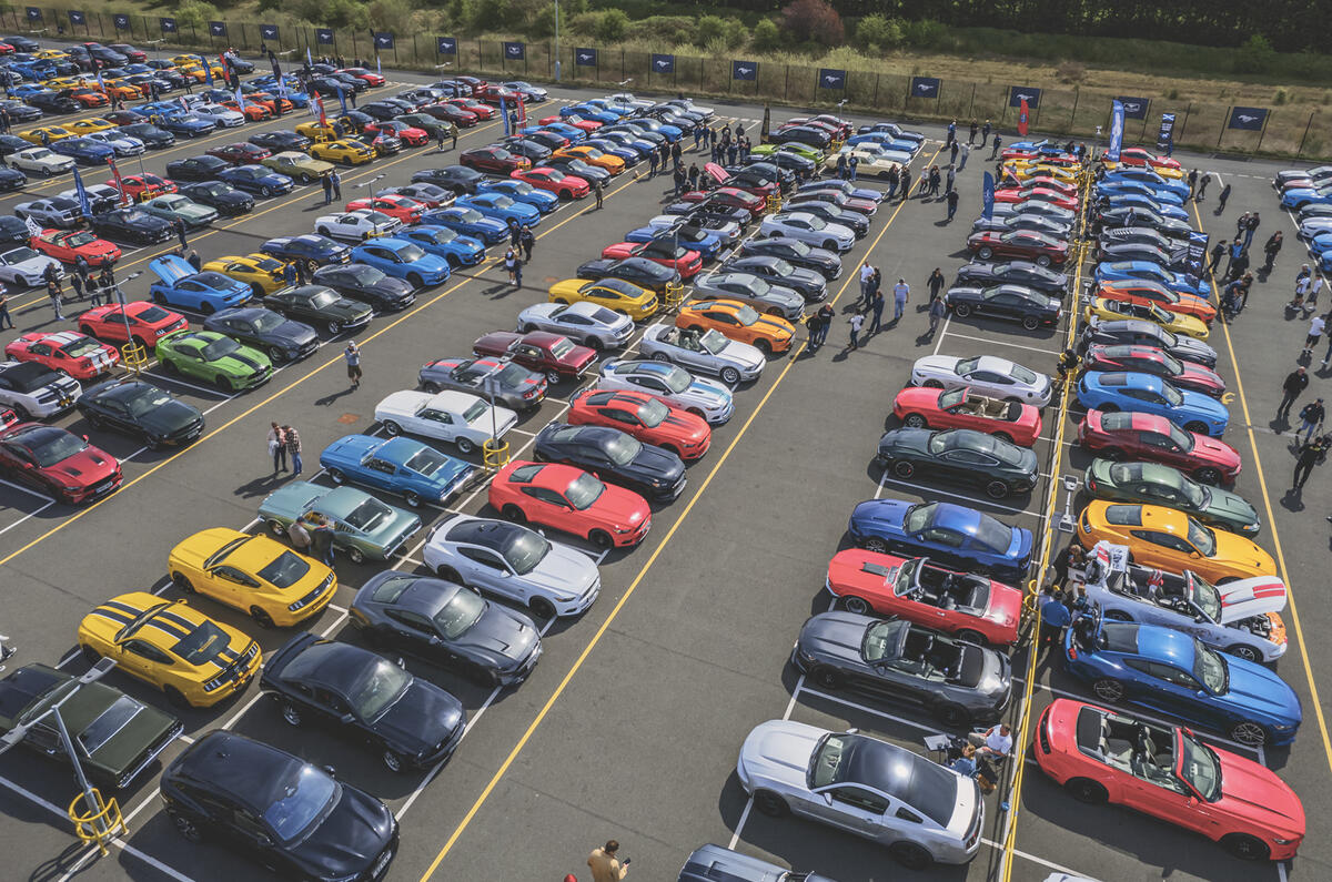 Ford Mustangs from the sky
