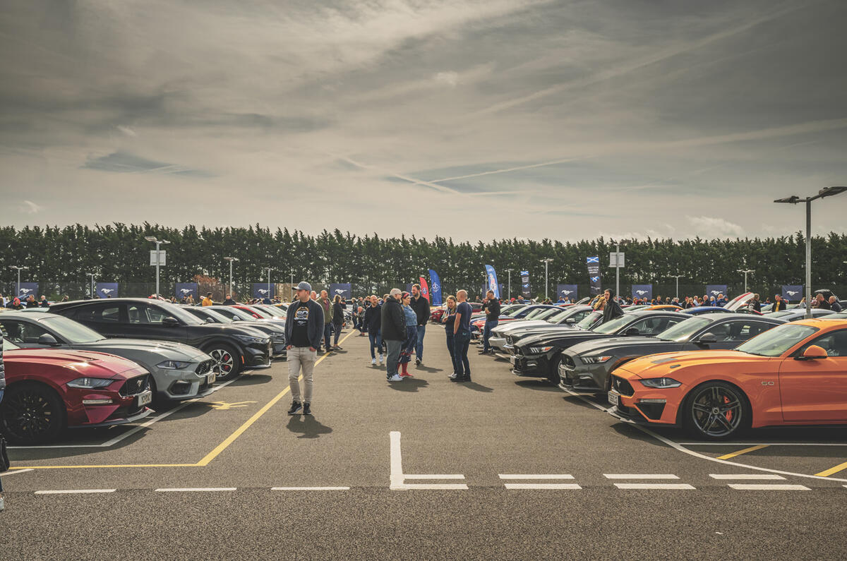 Ford Mustangs parked