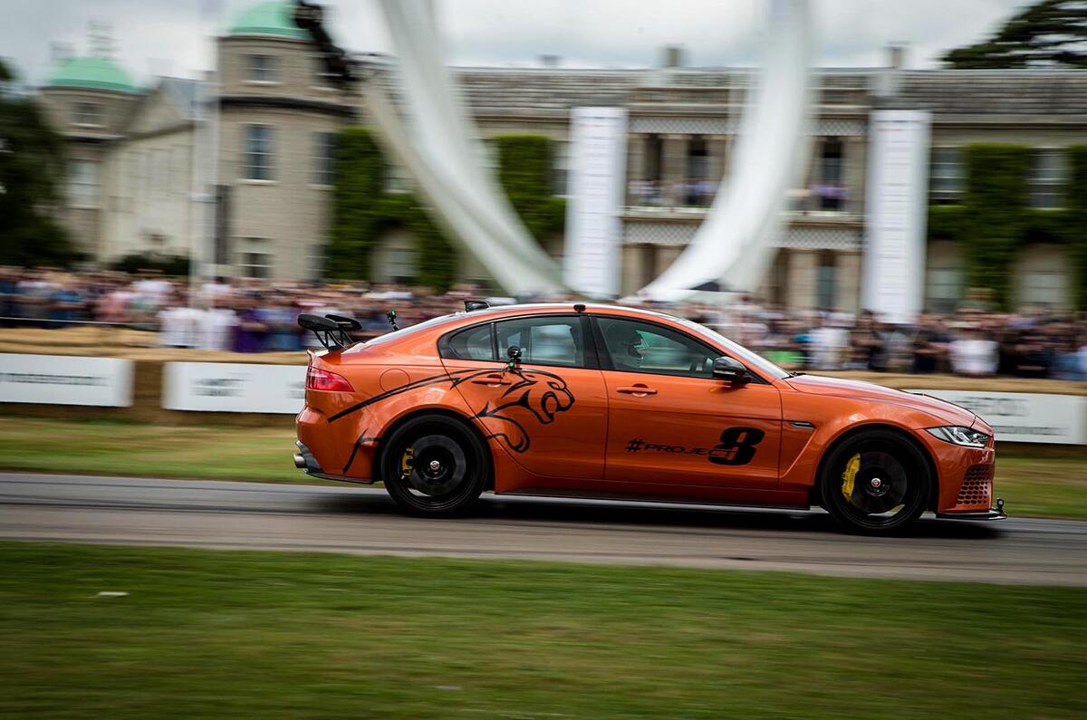 Jaguar Project 8 Jaguar Project 8