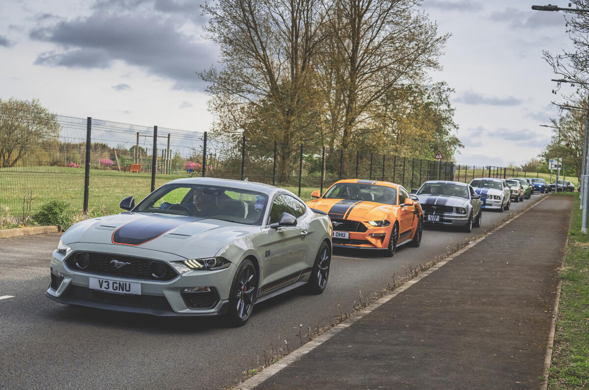 Grey Ford Mustang leading more mustangs