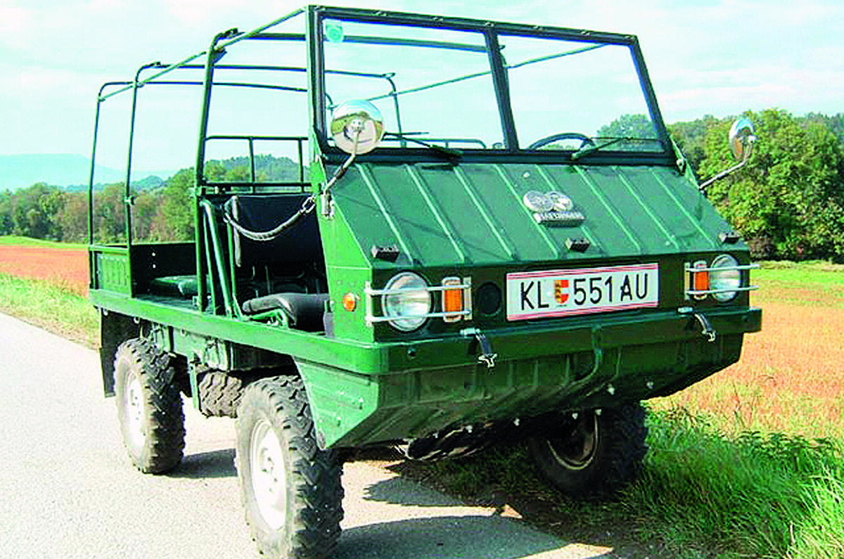 Haflinger credit Backlash Haflinger credit Backlash