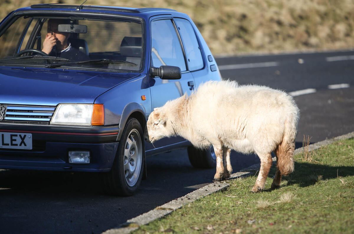 Hot hatch heroes: Autocar's top five