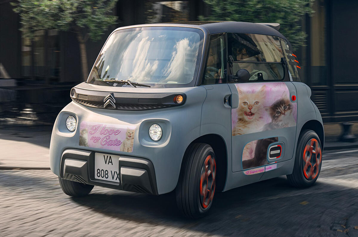 ILoveMyCatsCustomLivery ILoveMyCatsCustomLivery